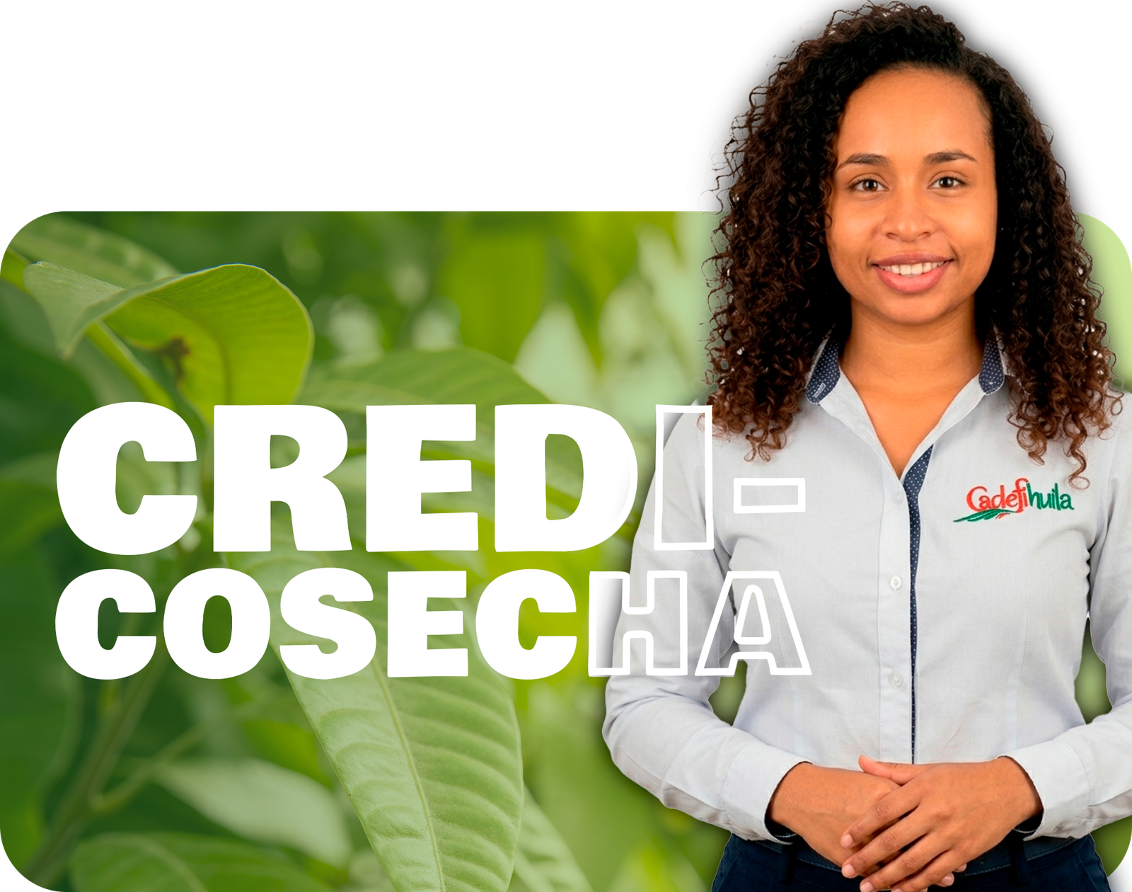 Credicosecha