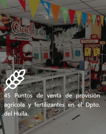 Experiencia